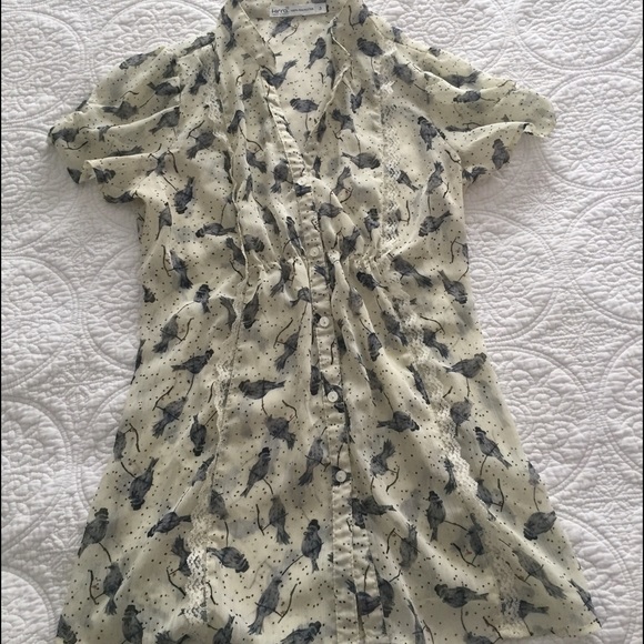 Kirra Tops - Kirra bird blouse