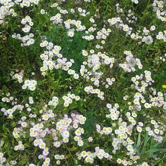 Meet your Posher, Haylee