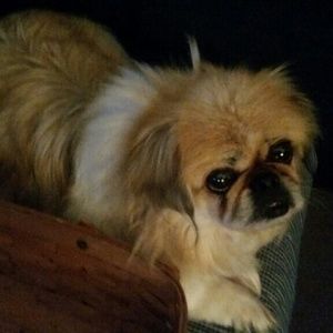 Meet your Posher, Hope