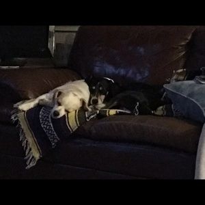 Meet your Posher, Robin