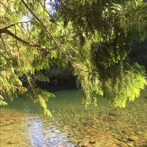 Meet your Posher, Mm