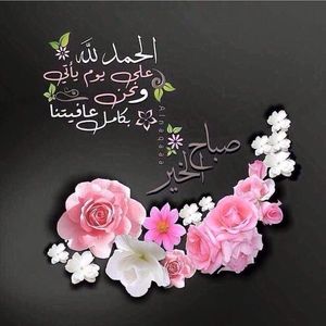 Meet your Posher, Rawda