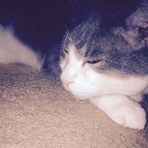 Meet your Posher, Amber