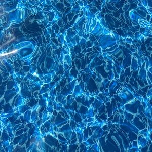 Meet your Posher, Lou