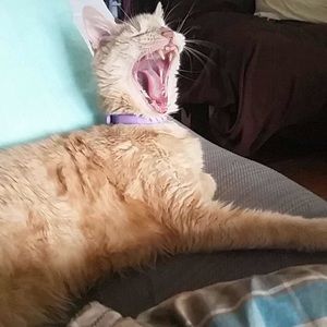 Meet your Posher, Bethany