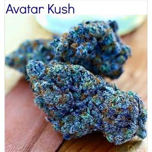 Meet your Posher, Nieasha