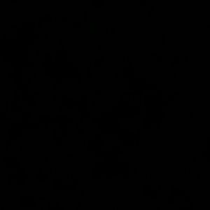 Meet your Posher, Rae