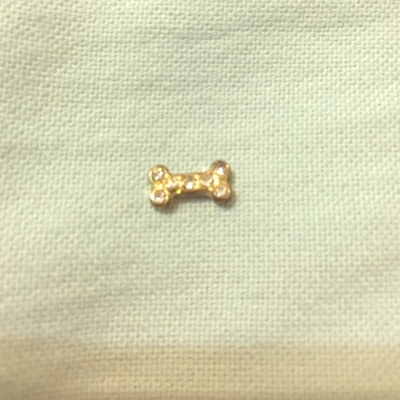 Origami Owl charm