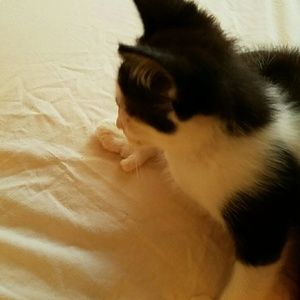 Meet your Posher, Trinity