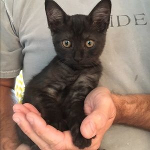 Meet your Posher, Isabella