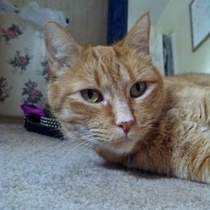 Meet your Posher, Jaime