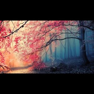 Meet your Posher, Briana