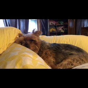 Meet your Posher, Rachel