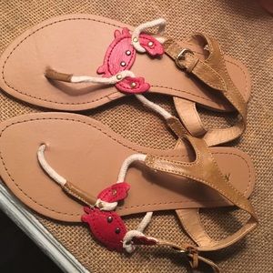 Misbehave Walk Like A Crustacean