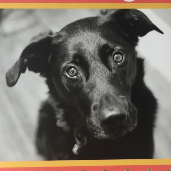 Meet your Posher, Meredith