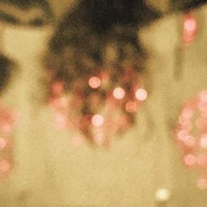 Meet your Posher, Dia