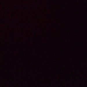 Meet your Posher, Quinn