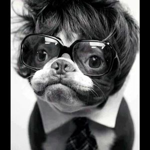 Meet your Posher, Kristina