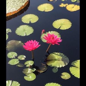 Meet your Posher, Olga