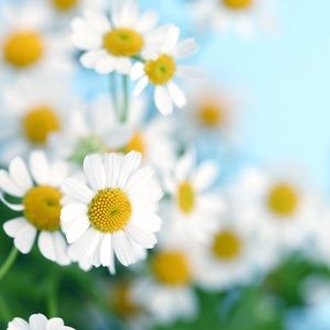 Meet your Posher, Matilde