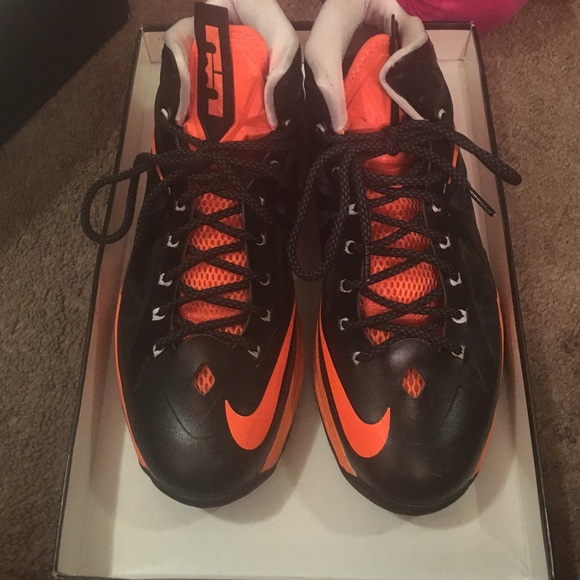 Lebron James 9s