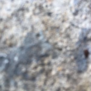 Meet your Posher, Jayla