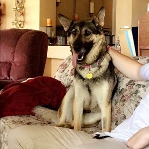 Meet your Posher, Ceanna