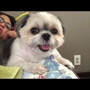 Meet your Posher, Marlene