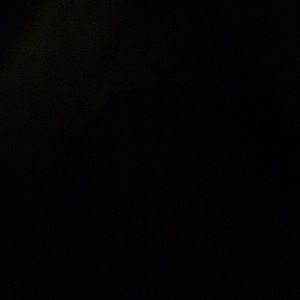 Meet your Posher, Lily