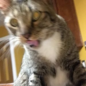 Meet your Posher, Ana