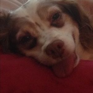 Meet your Posher, Adrienne