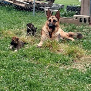 Meet your Posher, Danny