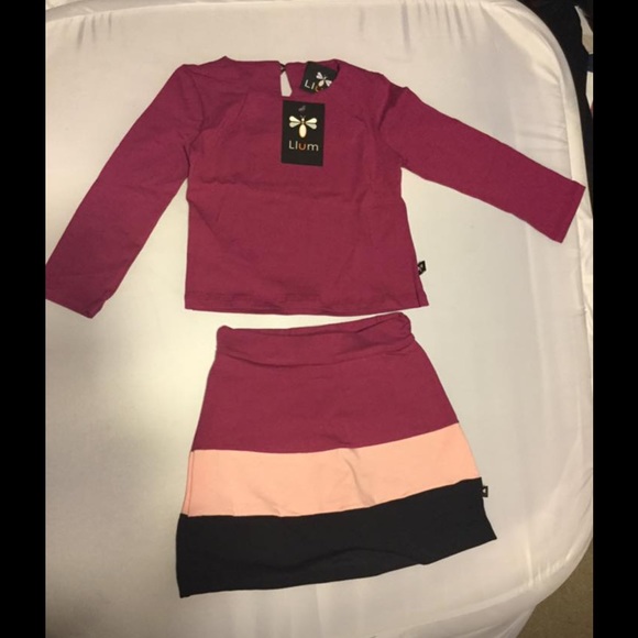 Llum top and skirt set 3t