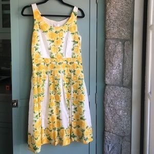 VGUC. Ann Taylor Loft floral dress. Size 6.