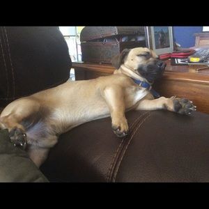 Meet your Posher, Stacie