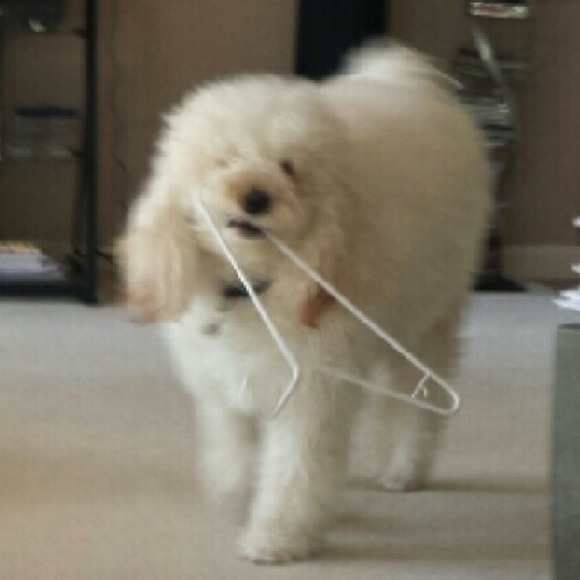 FROM OUR CLOSET TO YOURS! - Picture 2 of 3