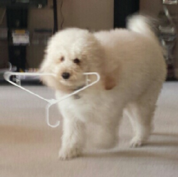 FROM OUR CLOSET TO YOURS! - Picture 3 of 3