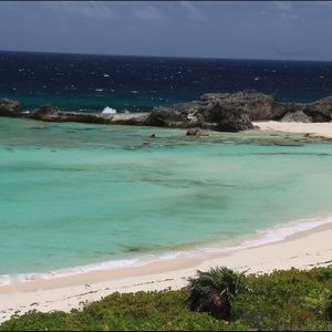 Meet your Posher, Avery