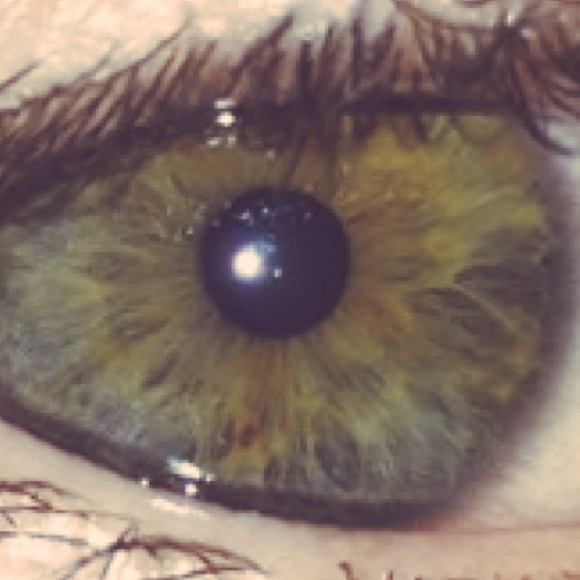 Meet your Posher, Sharon - Picture 1 of 1