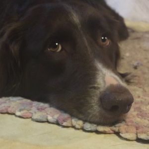 Meet your Posher, Karissa