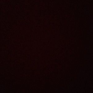 Meet your Posher, Janeth