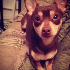 Meet your Posher, Ty ty