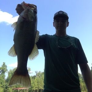 Meet your Posher, Nicholas