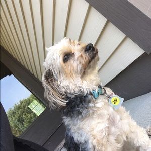 Meet your Posher, Candace