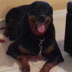 Meet your Posher, Giovanna