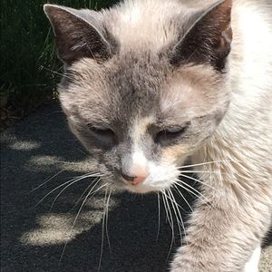 Meet your Posher, Taylor