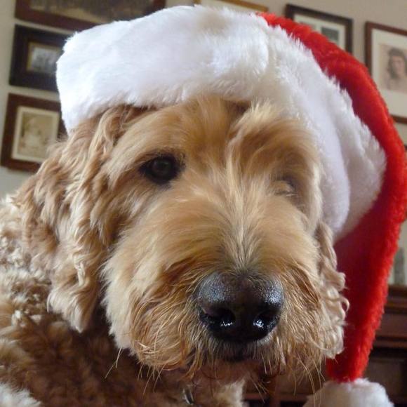 Meet your Posher, Ellen - Picture 1 of 1