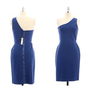 SOLD BCBGMaxAzria Bodycon Dress