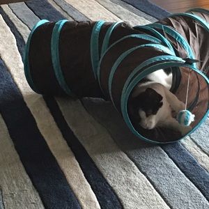 Meet your Posher, Patricia