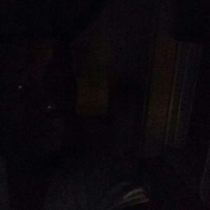 Meet your Posher, Leslie